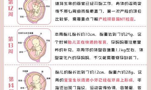 胃癌晚期喝什么汤最有营养-胃癌晚期炖什么汤,中国胃癌后期病人吃什么粥网站