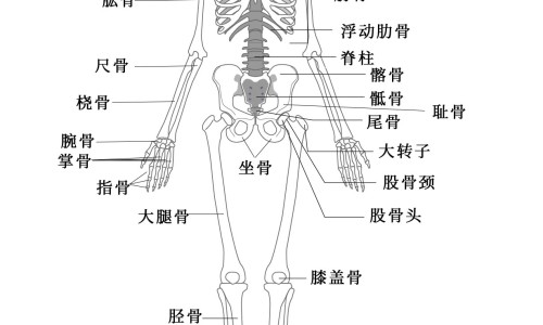 胃癌后期病人吃什么粥最好-胃癌晚期喝什么汤最有营养-胃癌晚期炖什么汤,中国胃癌后期病人吃什么粥网站